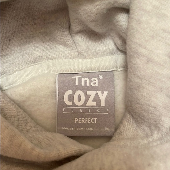 Aritzia TNA Cozy Fleece Hoodie Light Grey Medium - Picture 2 of 3